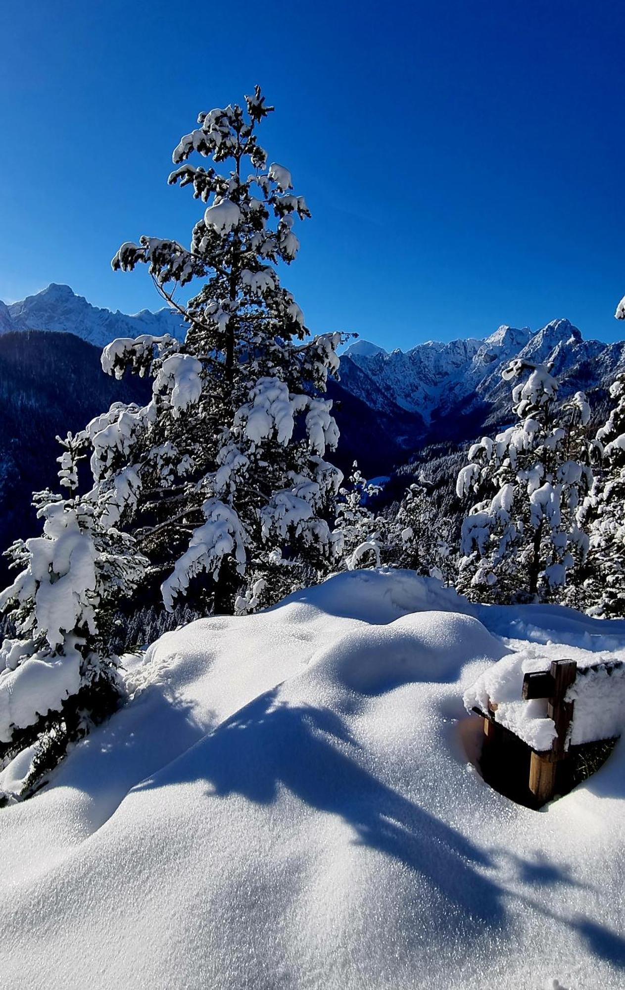 Holiday Chalet "Alpine Dreams" With Private Wellness Solčava Esterno foto