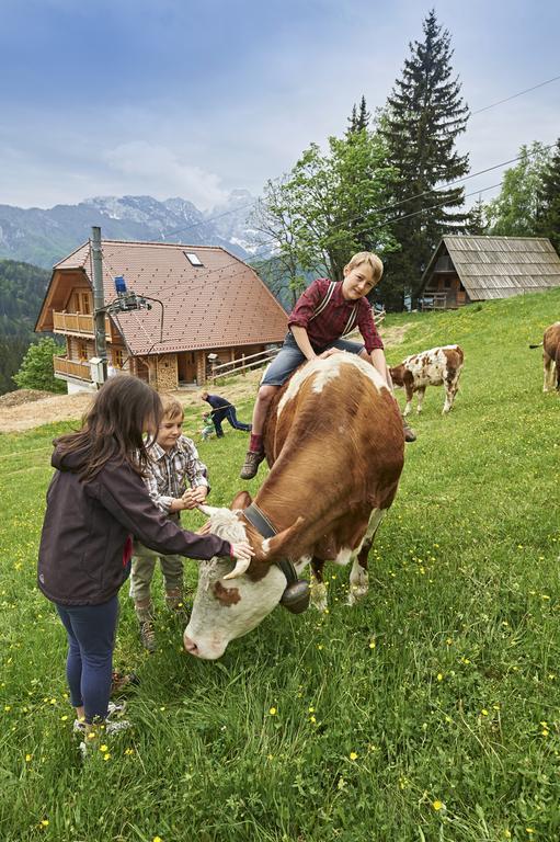 Holiday Chalet "Alpine Dreams" With Private Wellness Solčava Camera foto