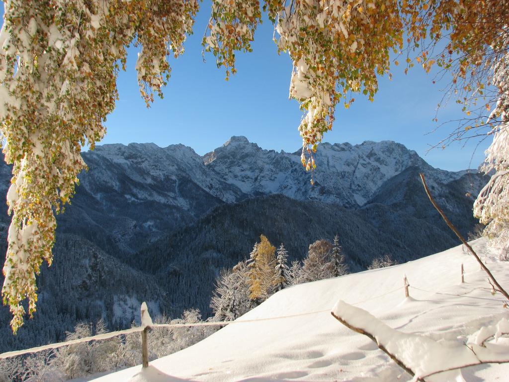 Holiday Chalet "Alpine Dreams" With Private Wellness Solčava Esterno foto