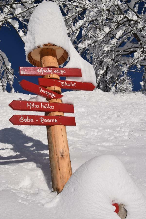 Holiday Chalet "Alpine Dreams" With Private Wellness Solčava Esterno foto