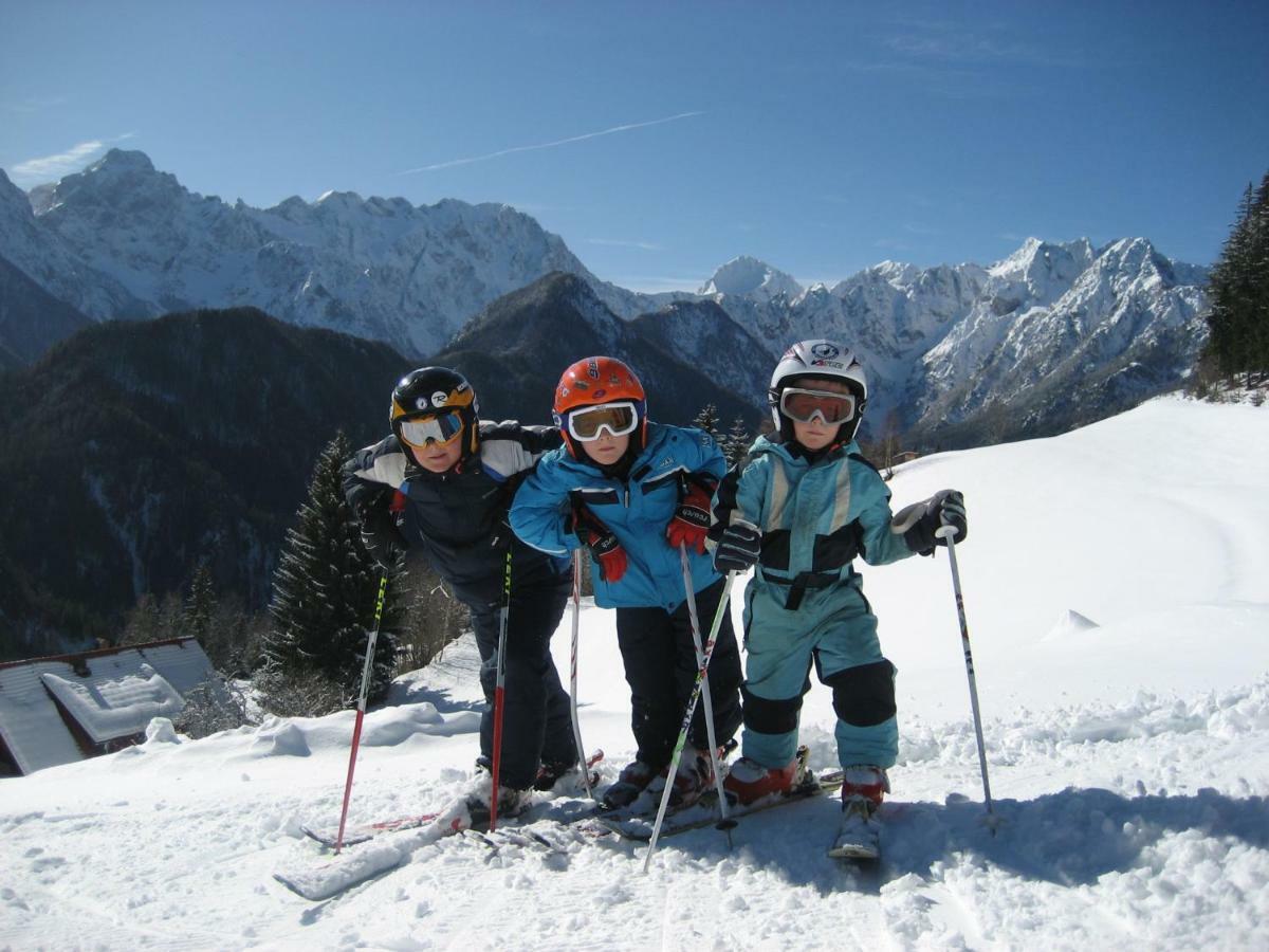 Holiday Chalet "Alpine Dreams" With Private Wellness Solčava Esterno foto